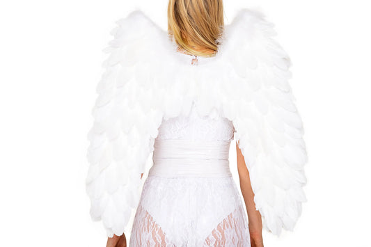 5081 - Delux Feathered Wings - Take A Peek