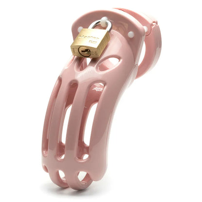 The Curve Chastity Cock Cage Kit - - Take A Peek