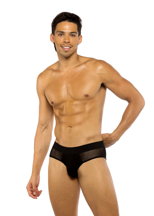 LI775 - Sheer Peek-A-Boo Briefs - Take A Peek