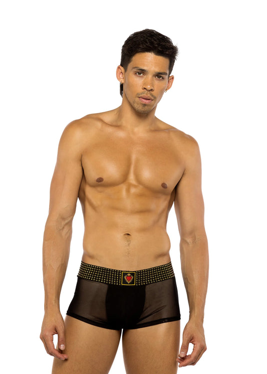 LI781 - Sacred Heart Trunks with Studded Elastic - Take A Peek