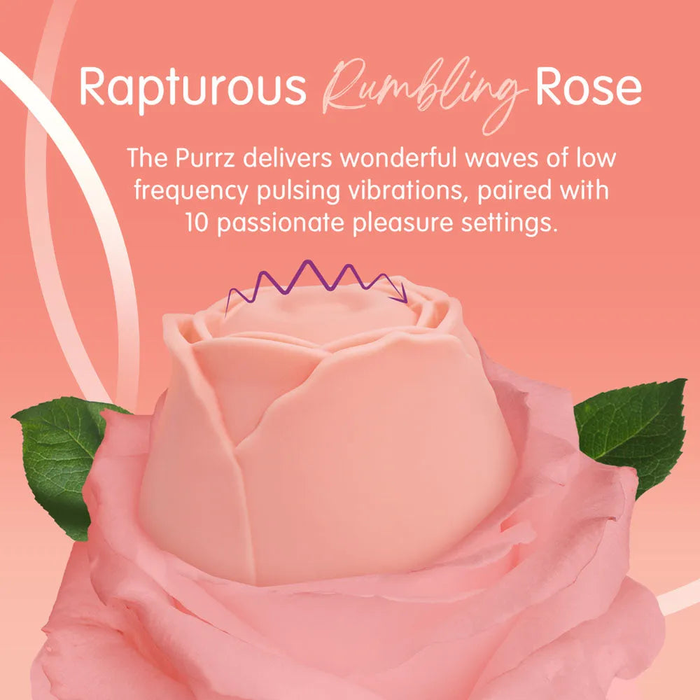 Skins Rose Buddies - The Rose Purrz - Take A Peek