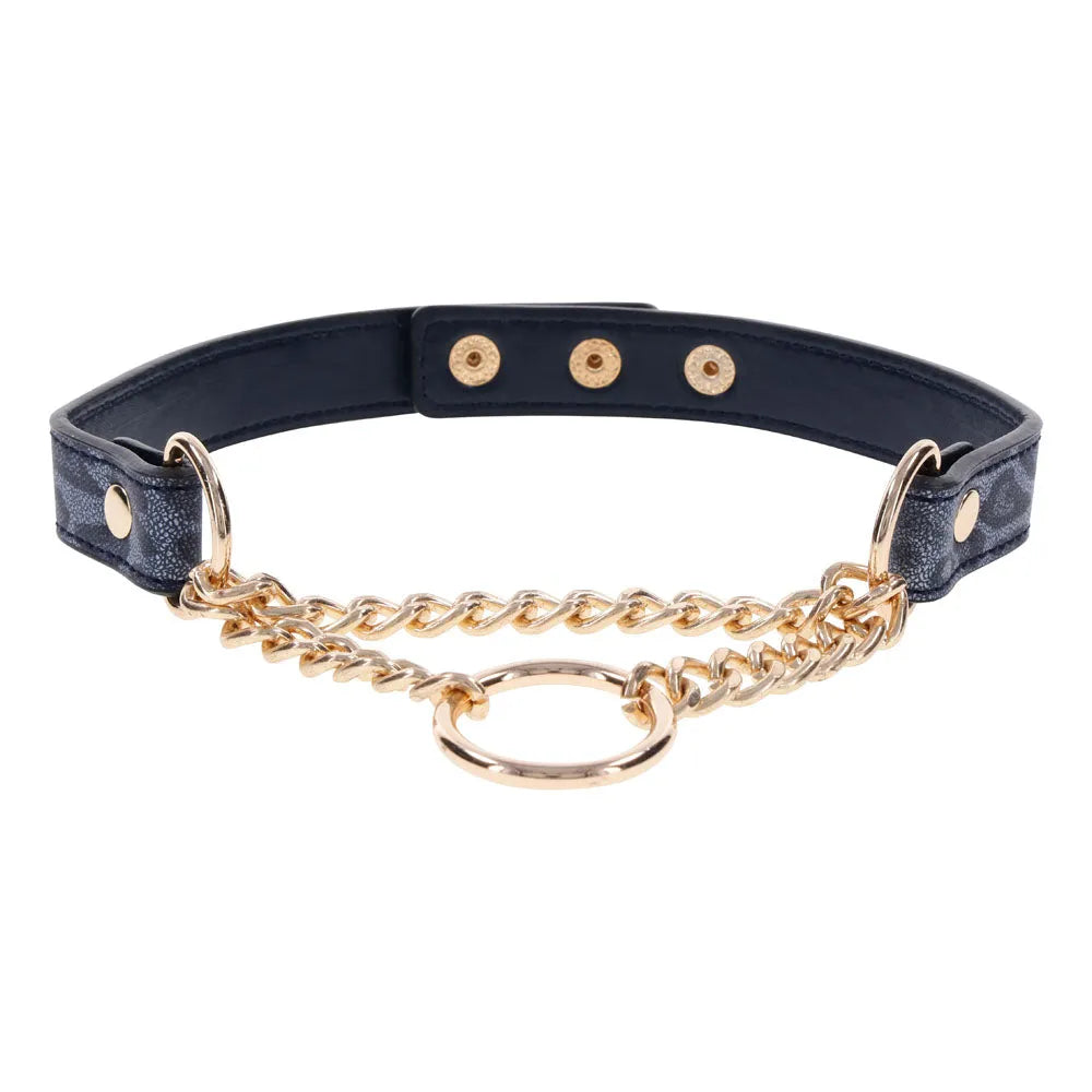 Sex & Mischief Cougar Day Collar - Navy /Gold Collar