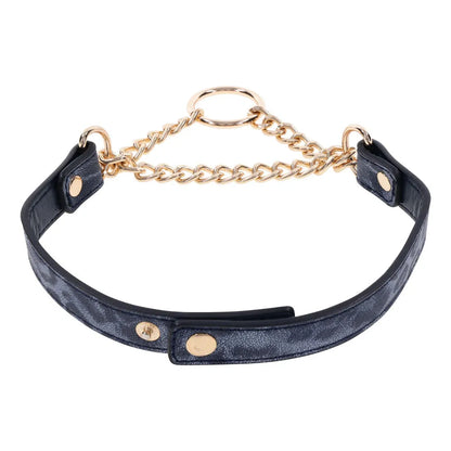 Sex & Mischief Cougar Day Collar - Navy /Gold Collar