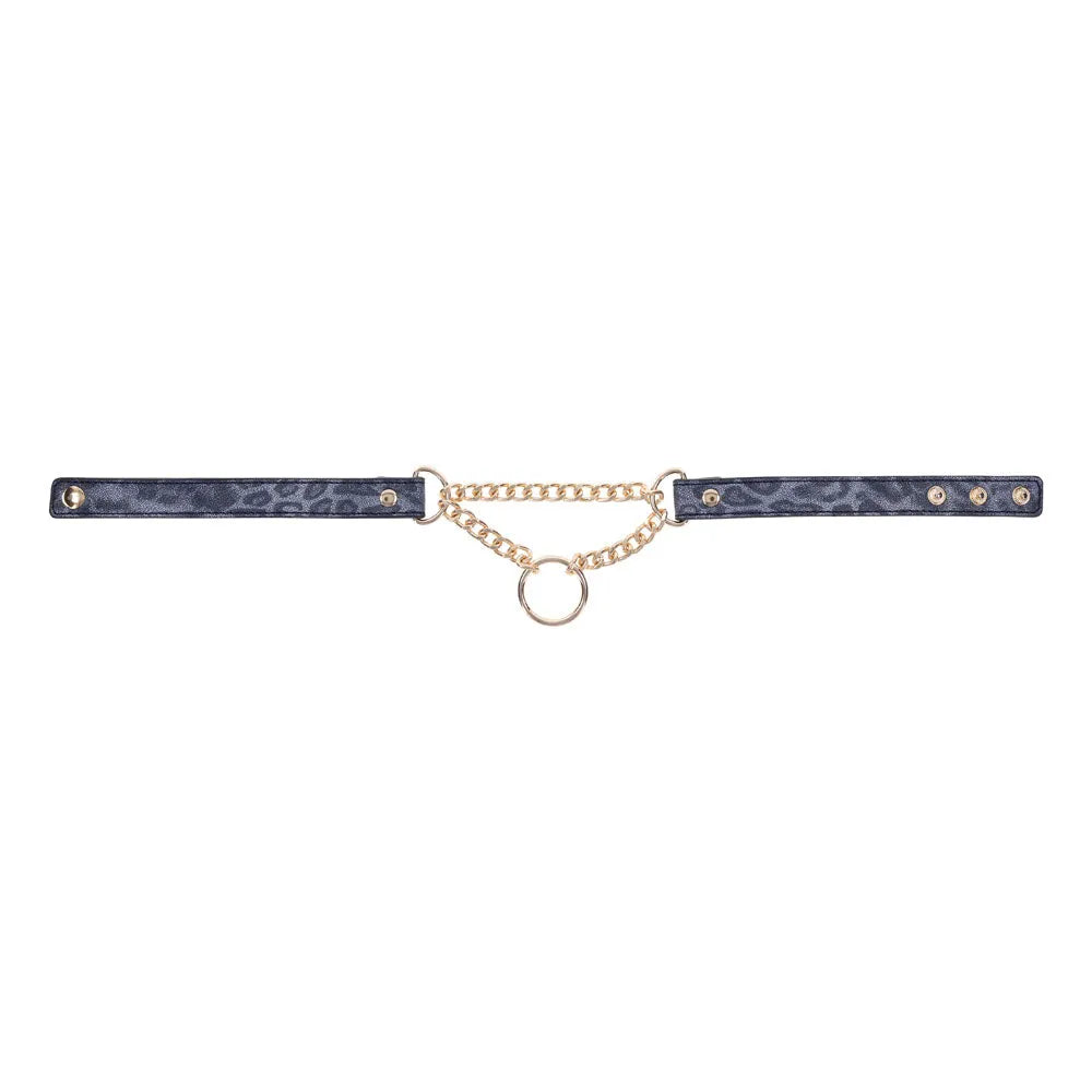 Sex & Mischief Cougar Day Collar - Navy /Gold Collar