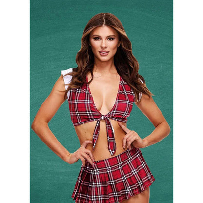 TEACHERS PET Schoolgirl Crop Top & Skirt - M/L - Take A Peek