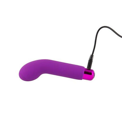 Power Bullet Sara’s Spot Vibrator Purple - Take A Peek