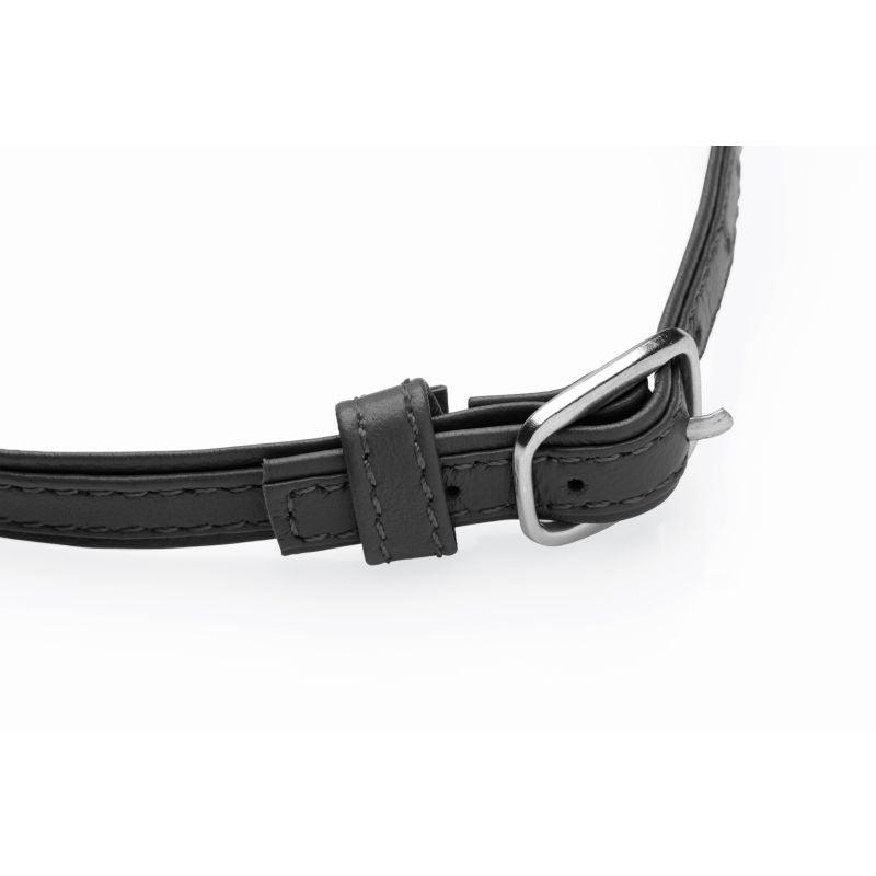 Sex Pet Leather Choker w/ Silver Ring Black - Take A Peek