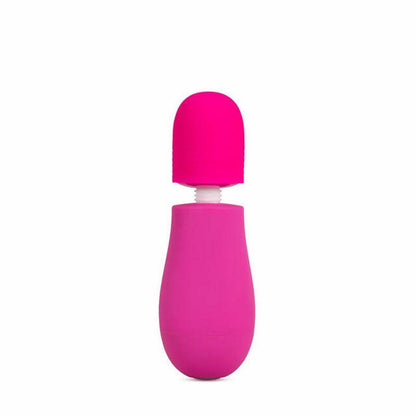 Rose Petite Massage Wand Pink - Take A Peek