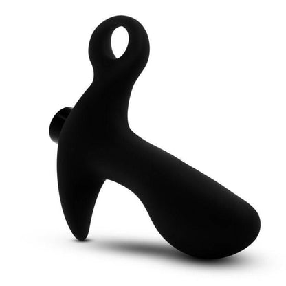 Anal Adventures Platinum Silicone Prostate Massager 01 - Take A Peek