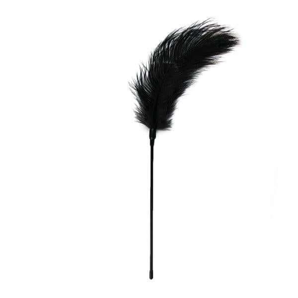 Black Feather Tickler - Take A Peek